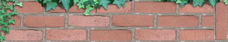 Bricks